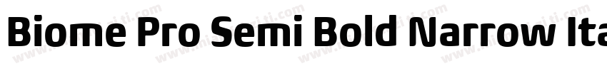 Biome Pro Semi Bold Narrow Itali字体转换